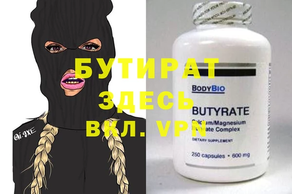 индика Вяземский