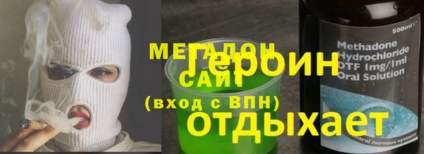 индика Вяземский